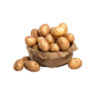 الخضروات والفواكه