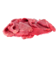 المبردة والمجمدة